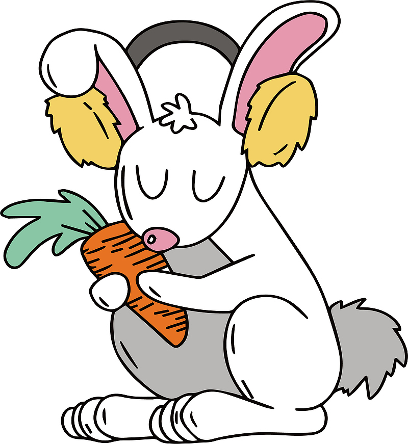 抱着胡萝卜的小白兔