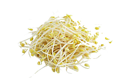 豆芽黄色的