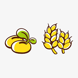 大豆和豆荚简图pngpng卡通豆先生pngpsdpng卡通玉米大豆形象pngpng