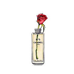 卡通手绘插在香水瓶里的玫瑰花素