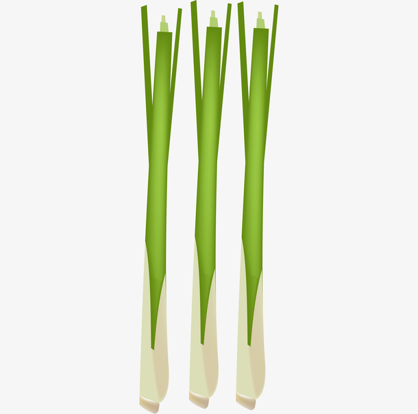 三根绿色的大葱素材