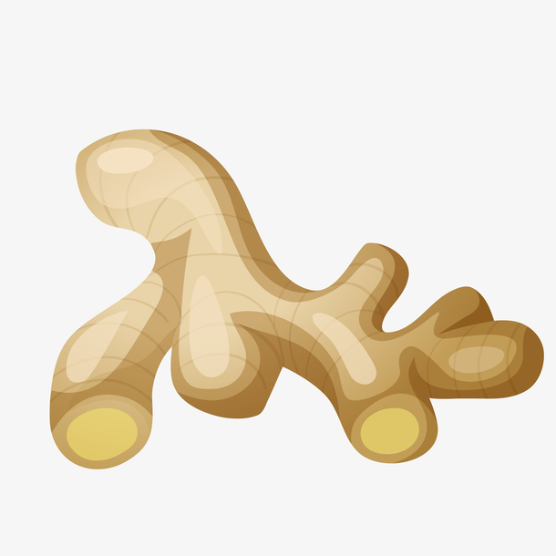 卡通生姜植物设计