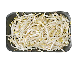 黑色盘子里的食材豆芽