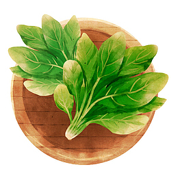 新鲜菠菜免抠PNG