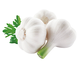 食材大蒜