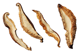 黄色干香菇切片