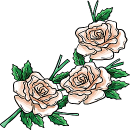 淡粉色手绘山茶花