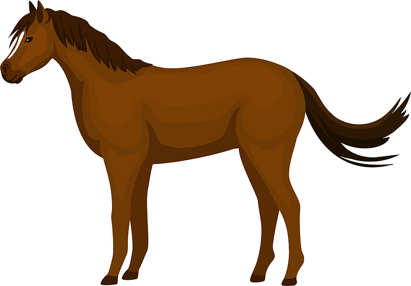 褐色卡通马匹