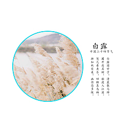 二十四节气之白露