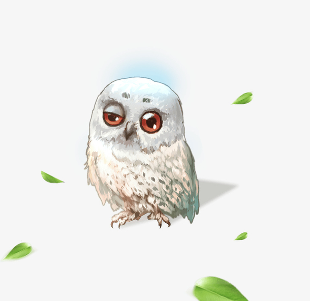 卡通白色可爱猫头鹰手绘