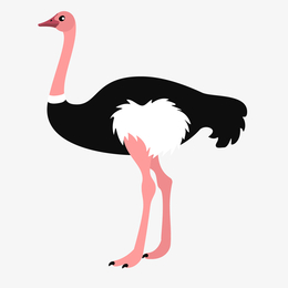 黑白红色站立的卡通鸵鸟