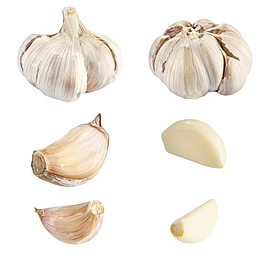 白色健康佐料大蒜头蒜头粒实物