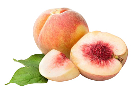 桃子简图