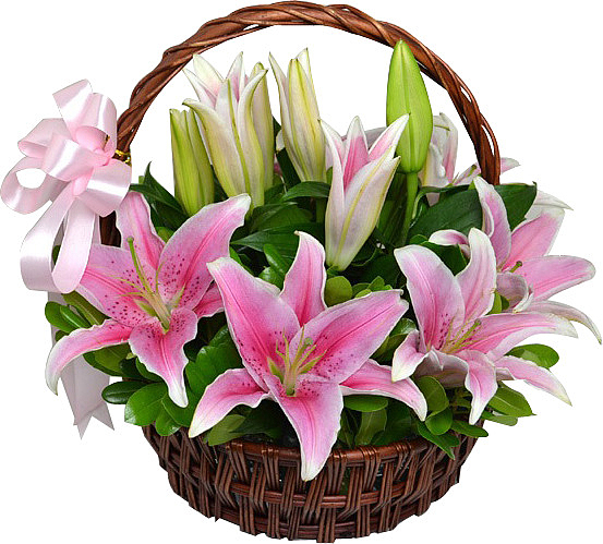 百合花篮