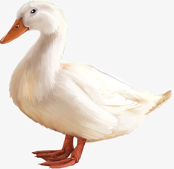 矢量鸭子素材免费下载_觅元素