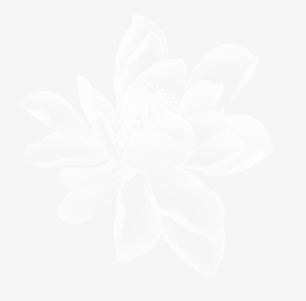 透明白色花免抠素材免费下载_觅元素51yuansu.com