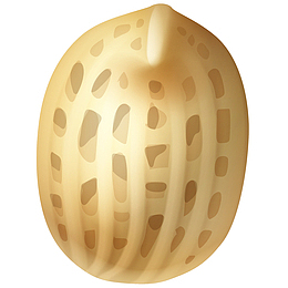 矢量花生免抠PNG