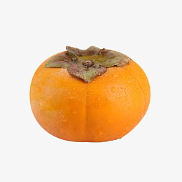 一个脆柿子硬柿子甜柿子实物免抠