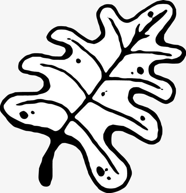 关键词 : 手绘,树叶,黑白[声明] 觅元素所有素材为用户免费分享产生