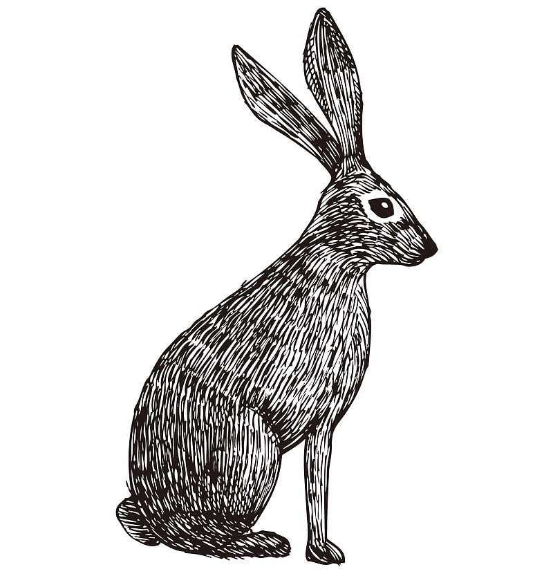 黑白可爱兔子手绘素描矢量下载