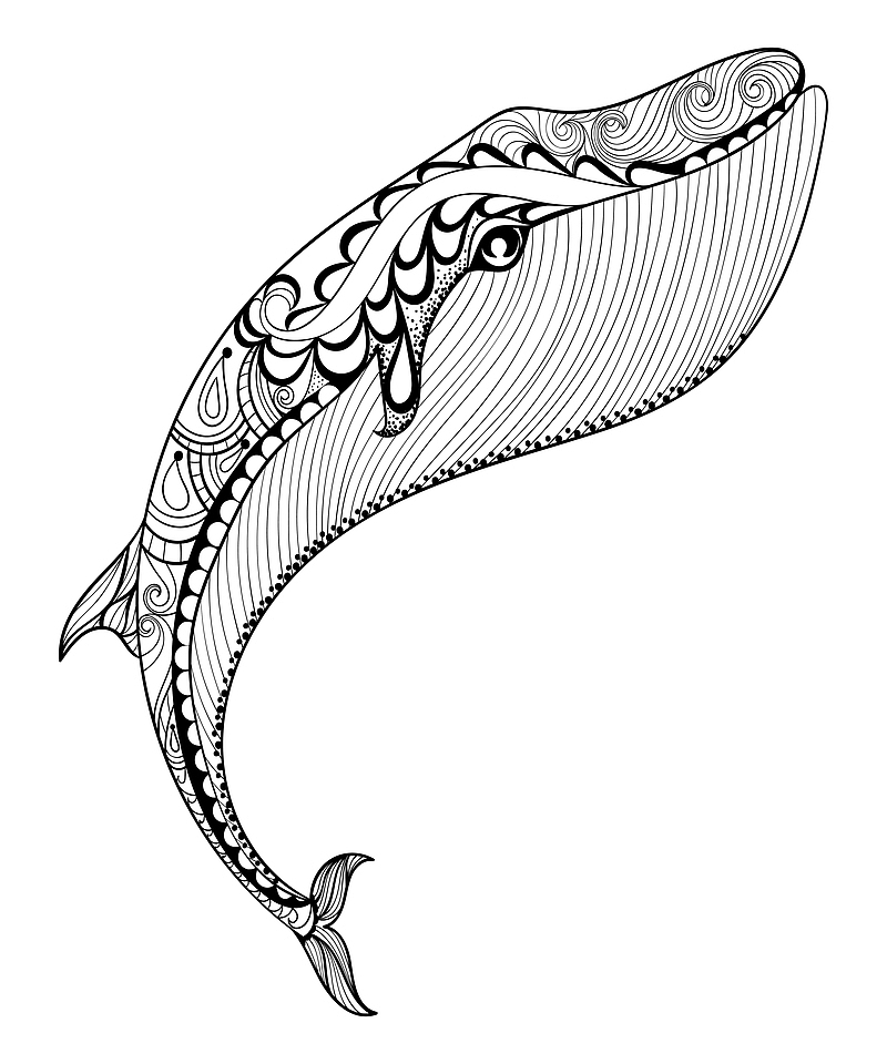 大鲸鱼黑白图腾线稿