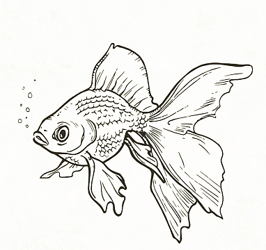 黑白手绘金鱼