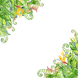 创意绿色植物叶子边框