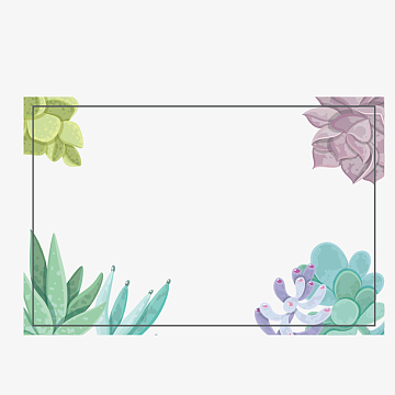 唯美多肉矢量边框