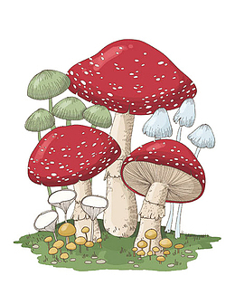毒蘑菇卡通手绘PNG