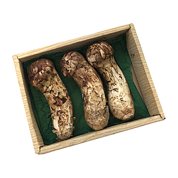 野生松茸免扣素材