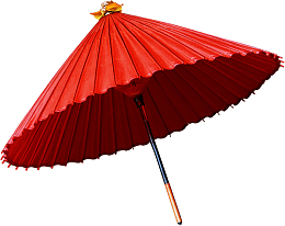 红色的雨伞