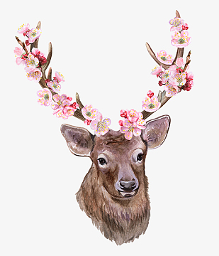 图(3600x3000)png粉色蹄子小马(1201x1201)png拼色动物麋鹿头像(700