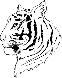 素描威猛老虎