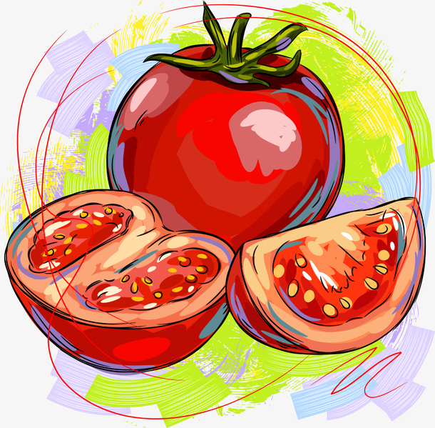 矢量西红柿