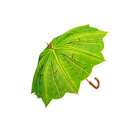 绿色雨伞