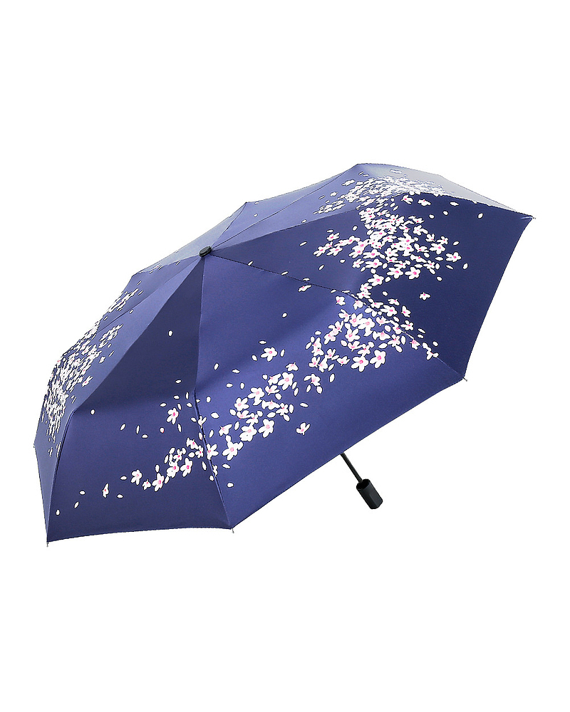 樱花雨伞