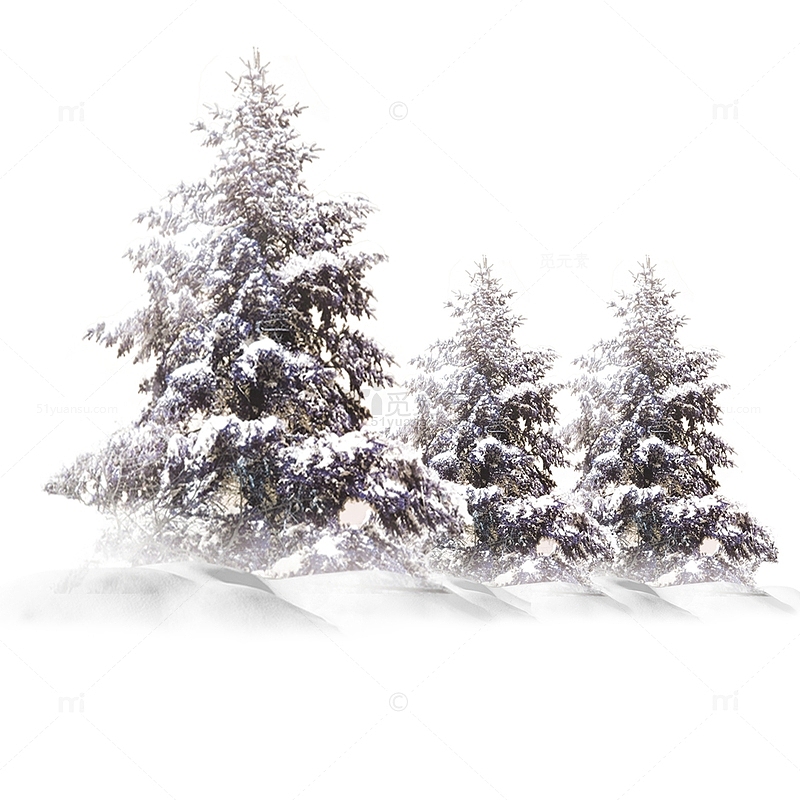 二十四节气之小雪白雪的树装饰图