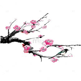 二十四节气之小雪带雪梅花枝下载