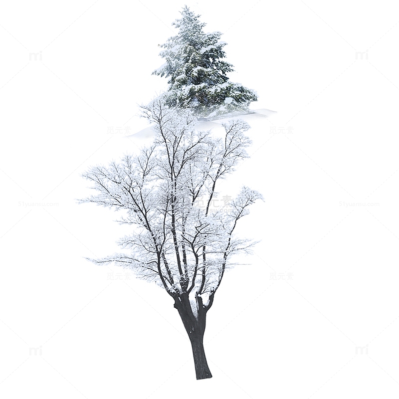 二十四节气之小雪白雪树装饰图下