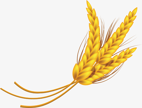 卡通透明小麦高粱免抠png装饰