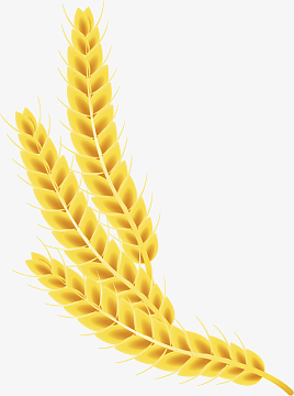 卡通透明小麦高粱免抠png装饰