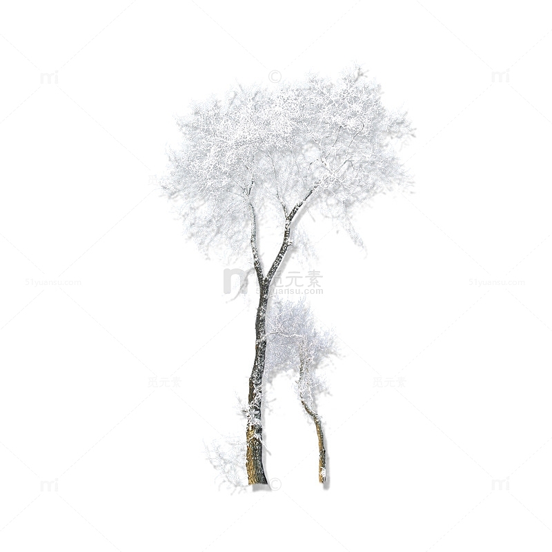 冬天大雪覆盖的树场景
