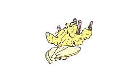 手绘卡通生姜片