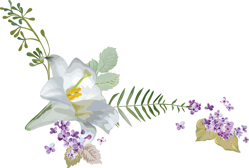 漂亮百合花一束百合花