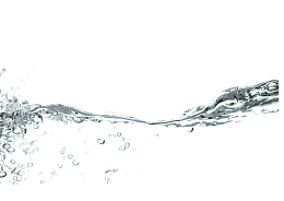 水体