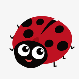 红色七星瓢虫矢量图