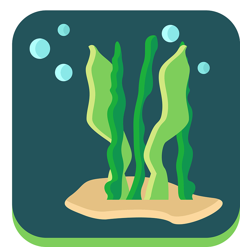 墨绿色背景矢量卡通藻类植物