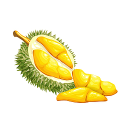 剥开的榴莲矢量图