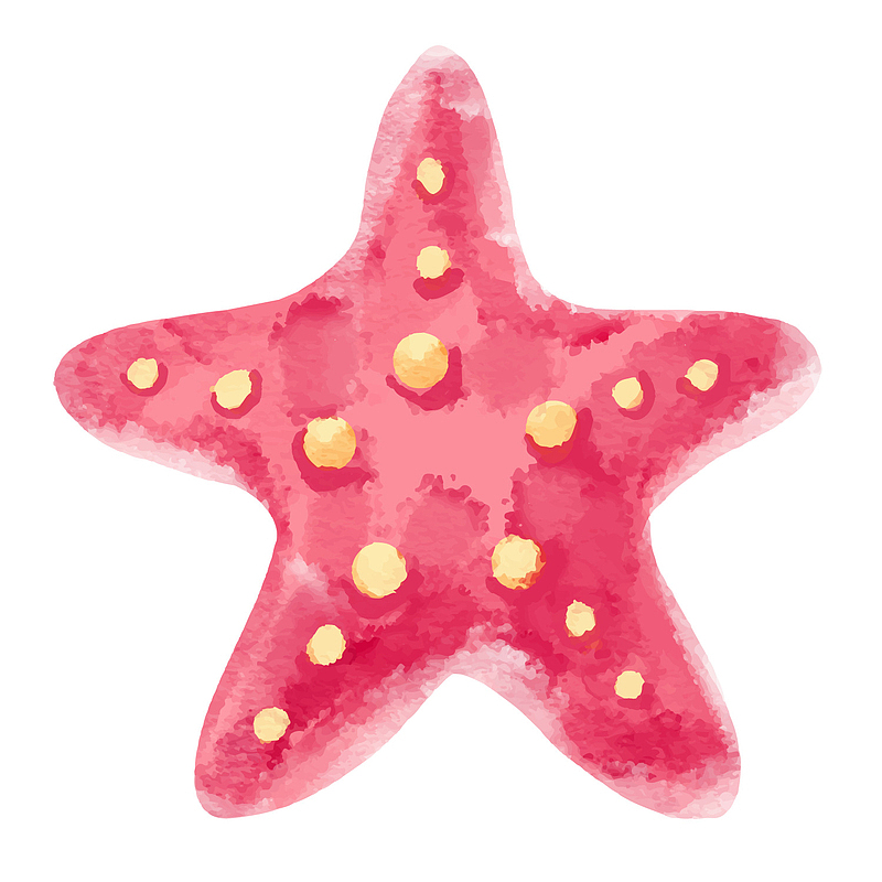 一只手绘的粉色海星