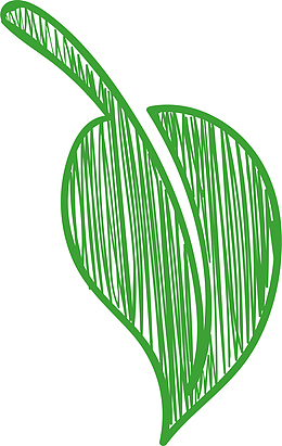 西红柿叶子番茄叶子